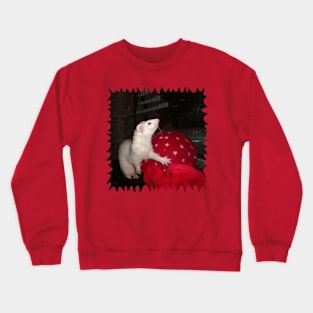 The Ivory Ferret and the Starry Red Bouncy House Crewneck Sweatshirt